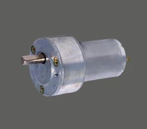 GM50RS555 Bonne qualité Spur DC Motor pour les déchets