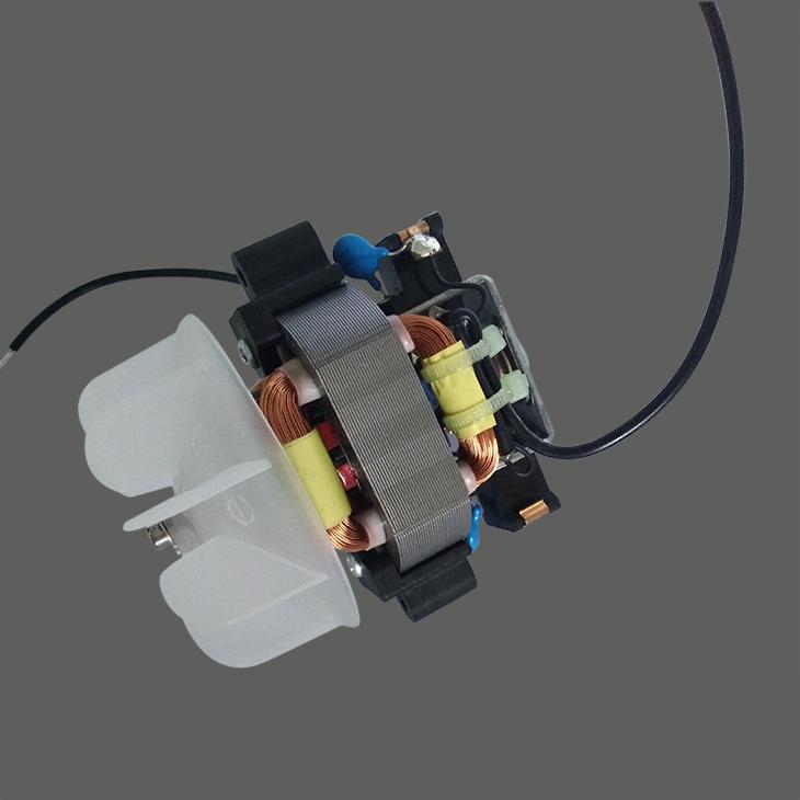 Moteur électrique au sèche-cheveux avec haute performance