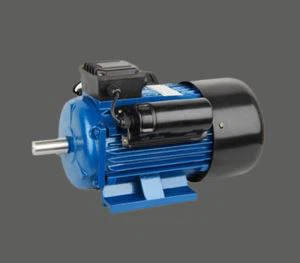 Moteur à courant alternatif de pompe 230V