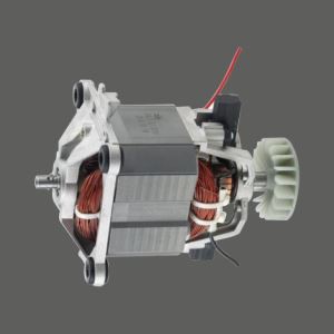 HC9540 Moteur puissant