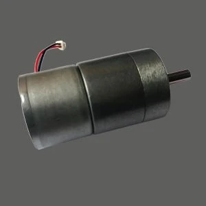 Mini moteur à engrenages pour bigoudi