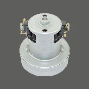 Moteur d'aspirateur 110V