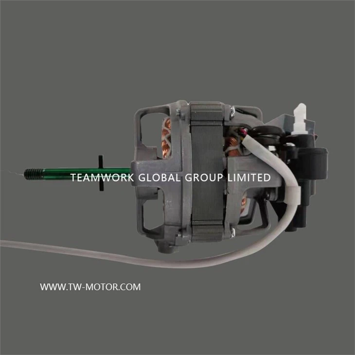 Air Cleaner Motor