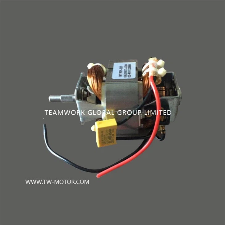 High Frequency Juicer Motor