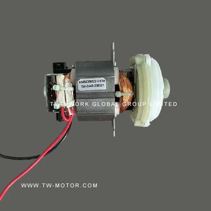Cutting Machine Motor