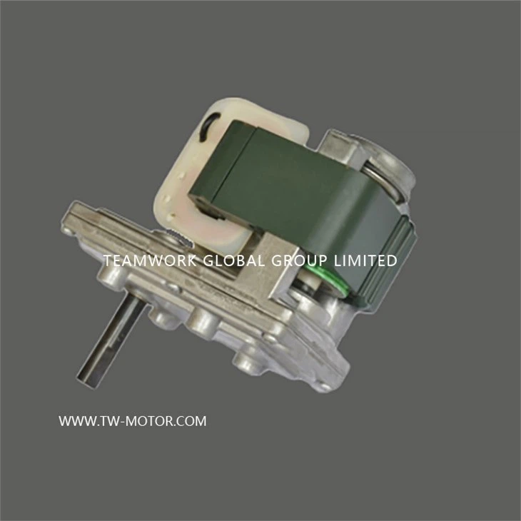 Household Gas Oven Motor