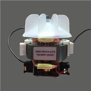 Électrique Monophasé Pour Sèche-Cheveux